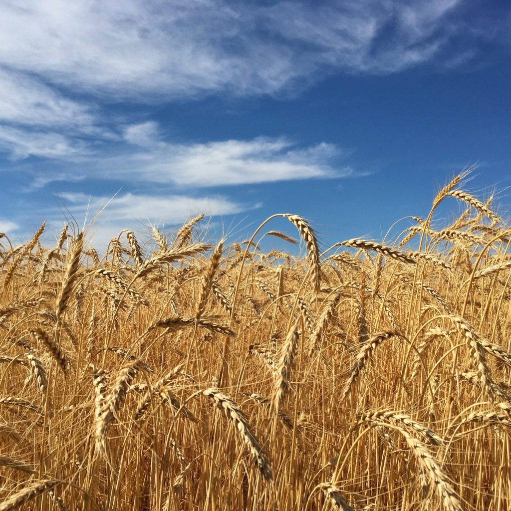 alexey-artyukh-zq8ZR9dNKew-unsplash