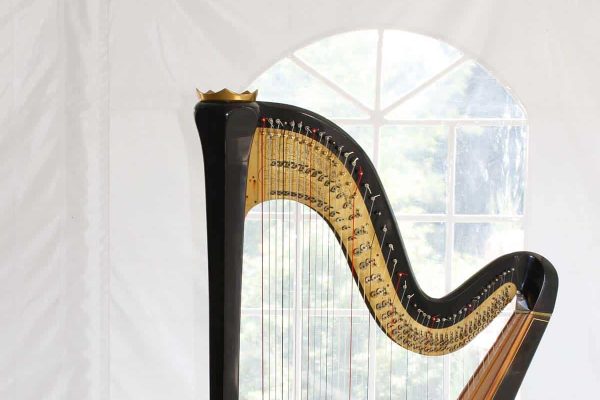 Stadsklooster reeks in de hoofdrol harp