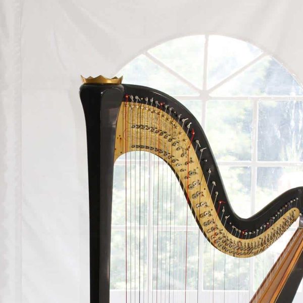 Stadsklooster reeks in de hoofdrol harp