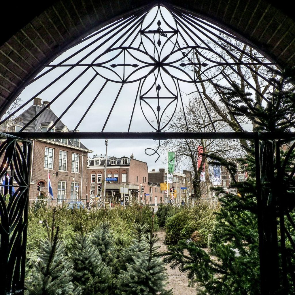 kerstbomen-kanaalstraat-jopies-bloemenhuis (7)